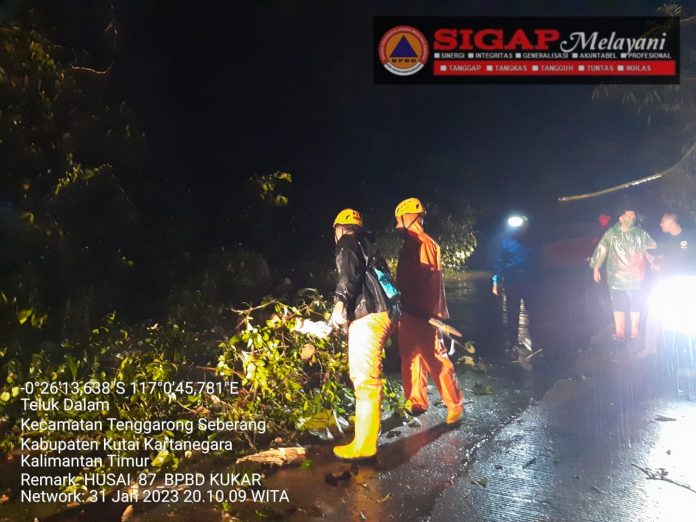 Anggota BPBD Kukar saat melakukan evakuasi terhadap pohon tumbang yang menimpa ruas jalan di Tenggarong Seberang. (Istimewa)