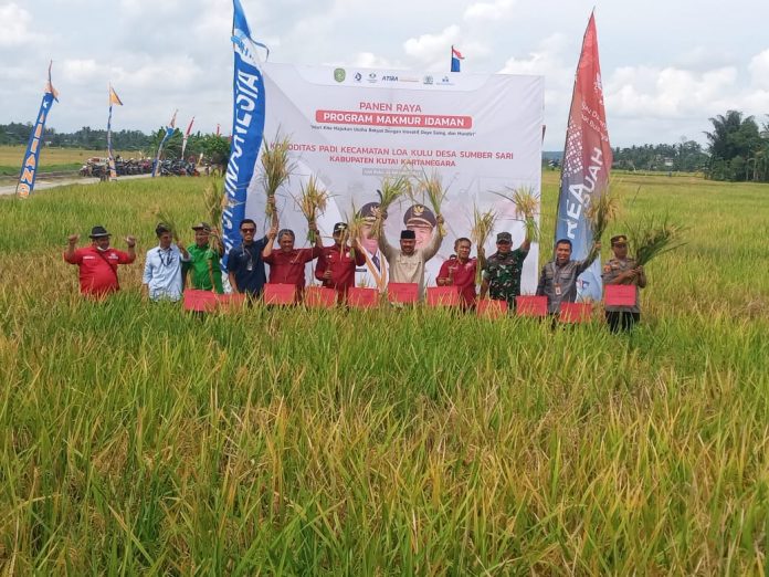 Kawasan pertanian di Kukar. (Ady/Radar Kukar)