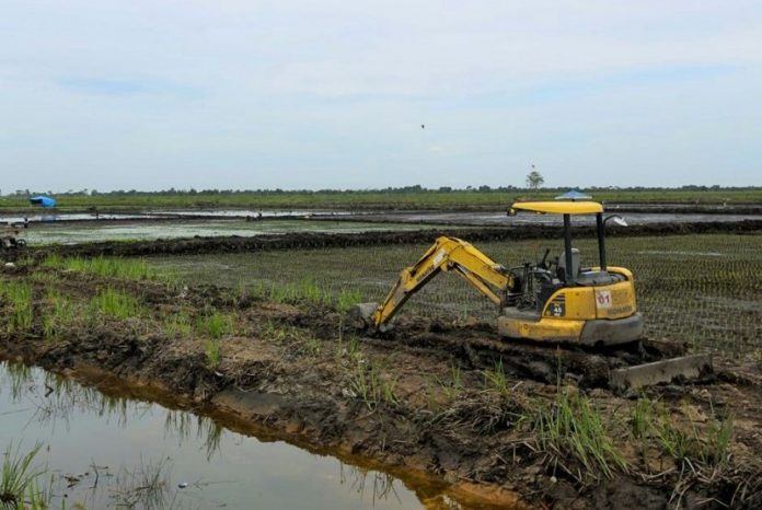 Ilustrasi proses pembuatan lahan persawahan di Desa Benua Puhun. (Istimewa)