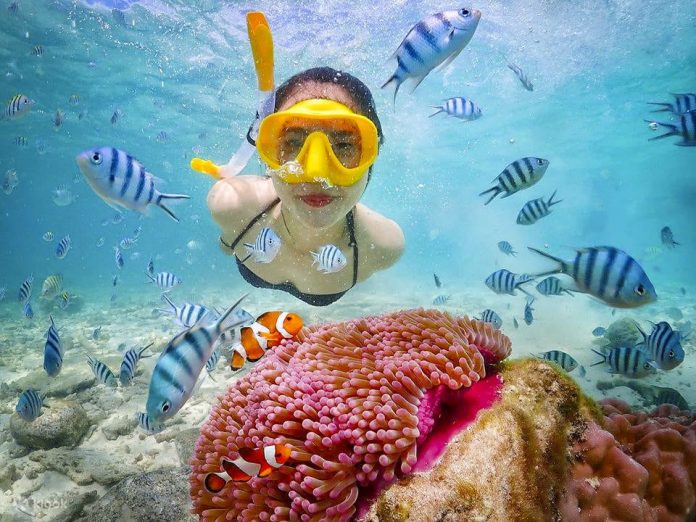 Ilustrasi. Wisata snorkeling menjadi salah satu destinasi yang sedang dikembangkan di Desa Tanjung Limau. (Istimewa)