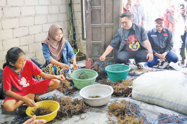 Wabup Kukar, Rendi Solihin, saat serahkan bantuan bibit rumput laut di Samboja. (Istimewa)