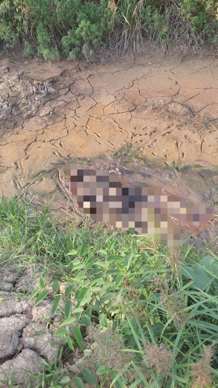 Penemuan mayat laki-laki tanpa identitas di Desa Batuah, Kecamatan Loa Janan. (Istimewa)