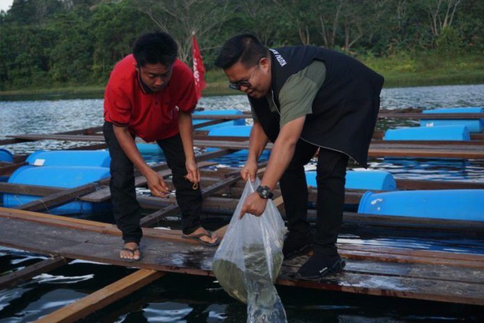 Wabup Kukar, Rendi Solihin, saat menebar benih ikan di Kelurahan Sangasanga Dalam. (Istimewa)