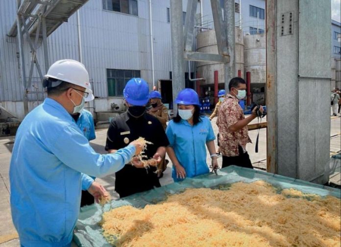 Ilustrasi pabrik rumput laut yang akan dibangun di Kecamatan Muara Badak. (istimewa)