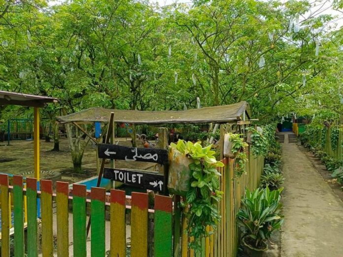 Kebun Belimbing yang sukses jadi destinasi wisata di Desa Manunggal Jaya. (Istimewa)