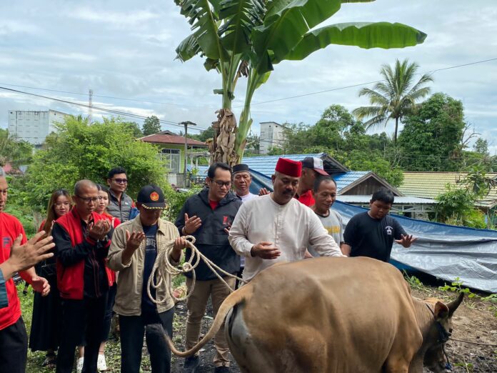 Suasana penyerahan sapi kurban yang dilakukan oleh Ketua DPC PDI Perjuangan Kukar, Edi Damansyah. (Ady/Radarkukar)