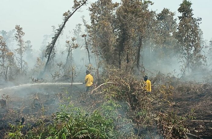 Proses pemadaman Karhutla yang dilakukan oleh BPBD Kukar. (Istimewa)