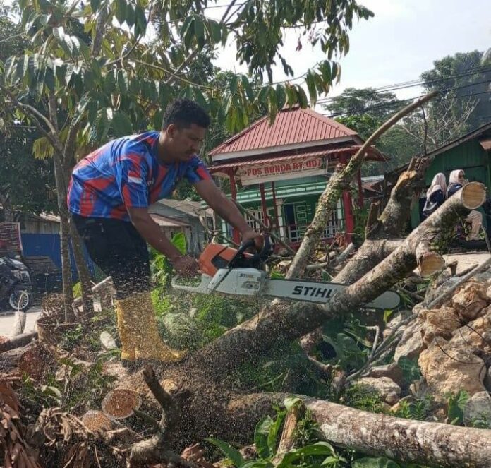 Suasana evakuasi pembersihan pohon tumbang di kawasan Tenggarong. (Istimewa)