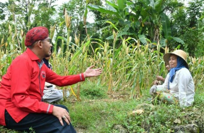BPJS Ketenagakerjaan kategori Pekerja Rentan, Petani, Nelayan. (Istimewa)