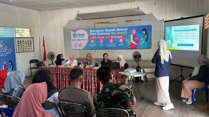 Sosialisasi Dinkes dalam mencegah resiko kehamilan. (Istimewa)