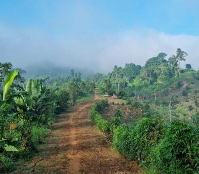 Wisata Lokal Puncak Rakyat. (Istimewa)
