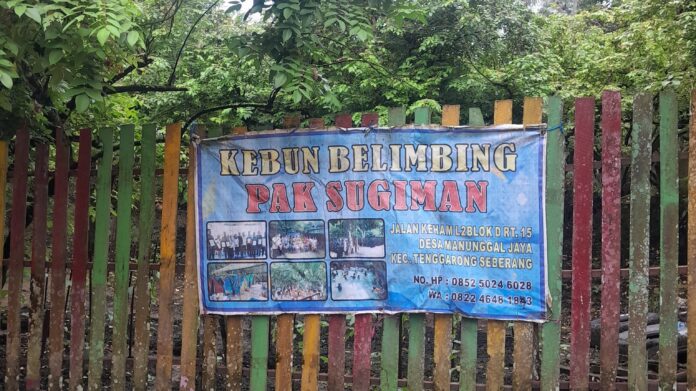 Wisata Kebun Belimbing Manunggal Jaya. (Shavira Ramadhanita/RadarKukar)
