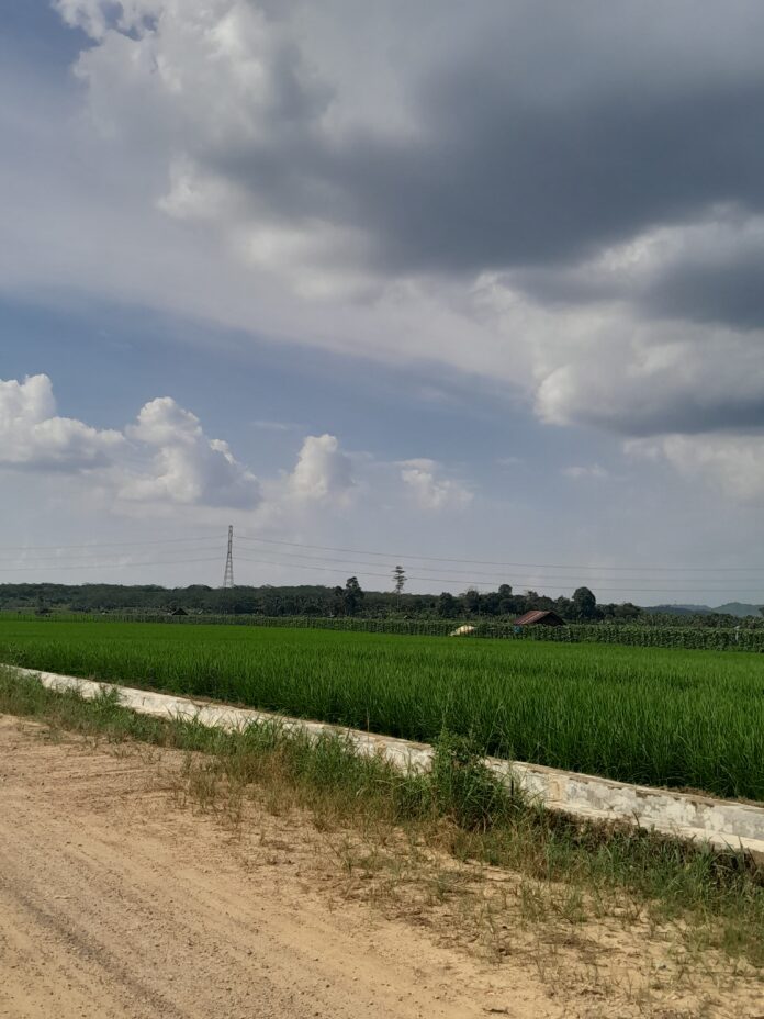 Salah satu Jalan Usaha Tani (JUT) di Tenggarong. (Shavira Ramadhanita/RadarKukar)