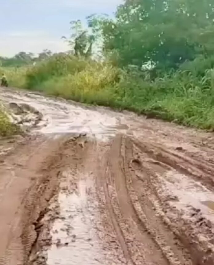 Kondisi jalan di Desa Bloro, Kecamatan Sebulu. (Istimewa)
