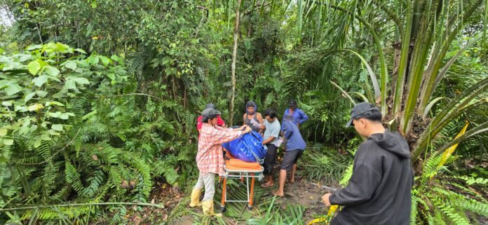 Petugas Polsek Bongan dibantu warga mengevakuasi jasad Rofiq (38) dari area kebun sawit di Kecamatan Bongan. (Istimewa)